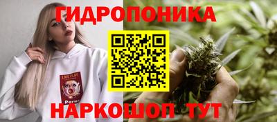 винт Татарск