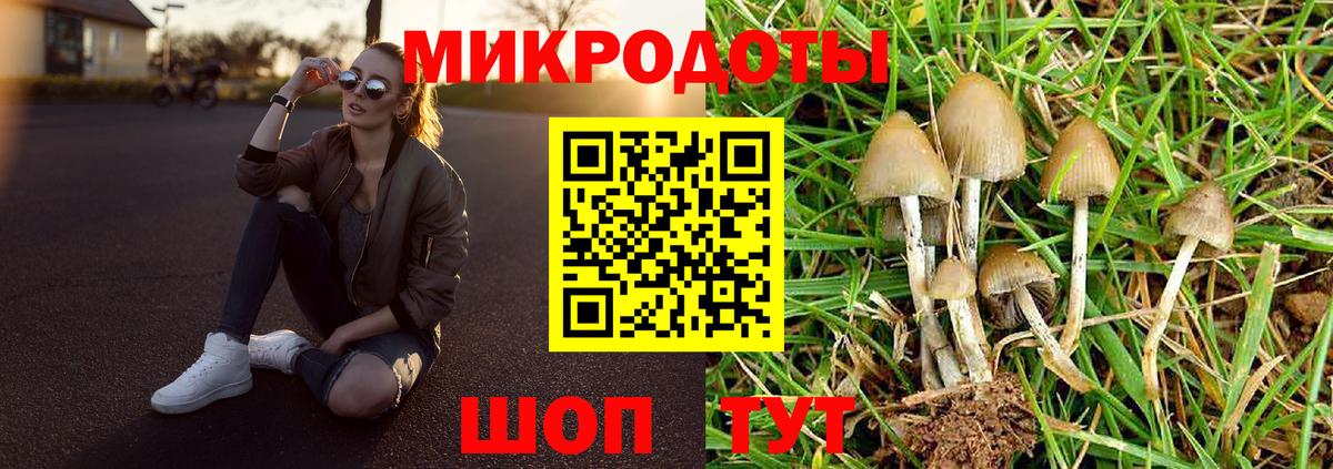 Галлюциногенные грибы GOLDEN TEACHER  Вход с VPN  Ангарск 